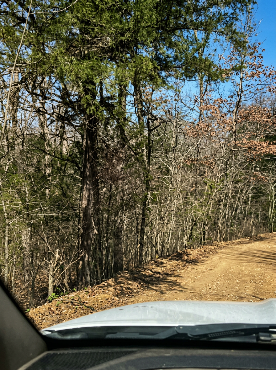 Azure Acres — Lot 5