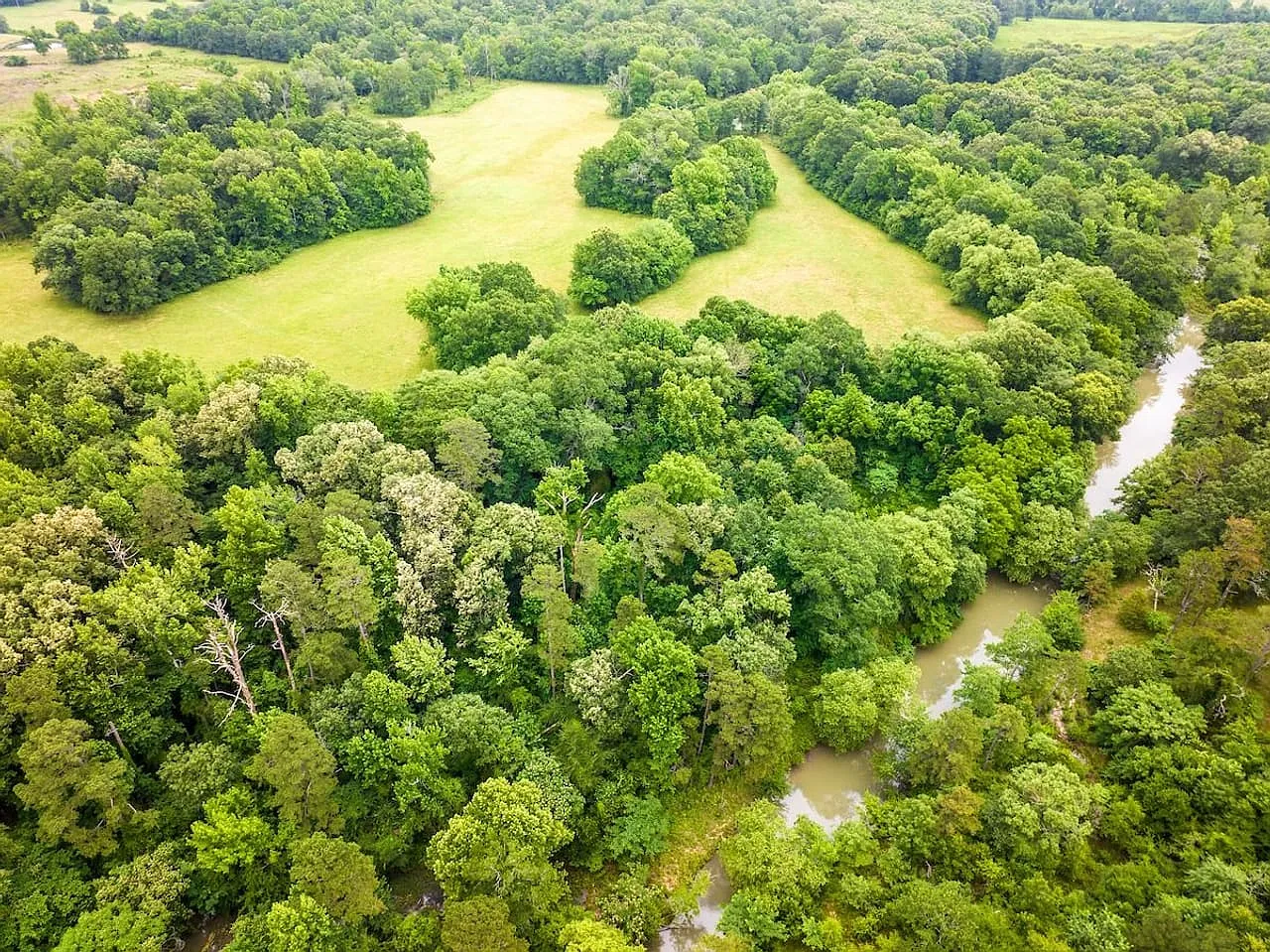 Keota Homestead — 12 acres of rolling pasture & woods — photo 6