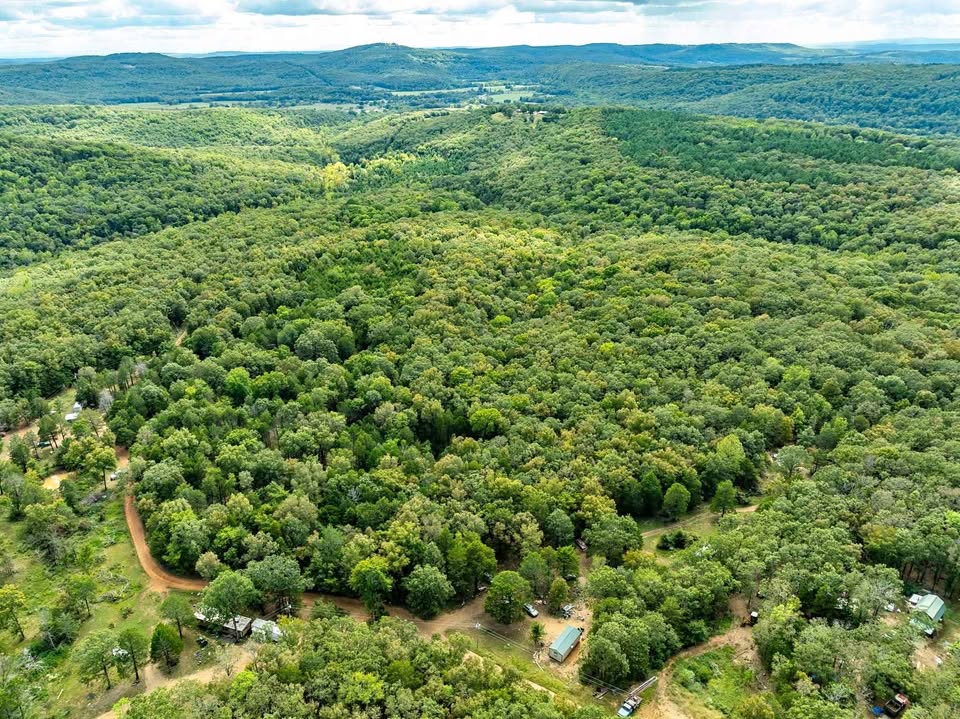 11.45 Acres near Buckhorn Trail — Chester, Arkansas