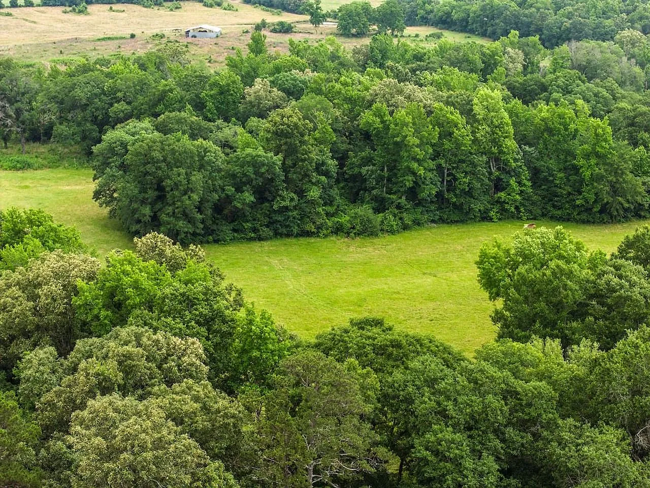 Keota Homestead — 12 acres of rolling pasture & woods