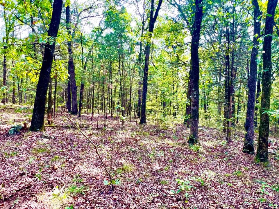 11.45 Acres near Buckhorn Trail — Chester, Arkansas — photo 3