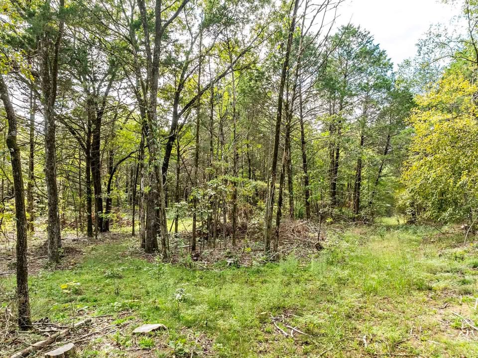 10 Acres — Dry Hill Loop, Chester, Arkansas