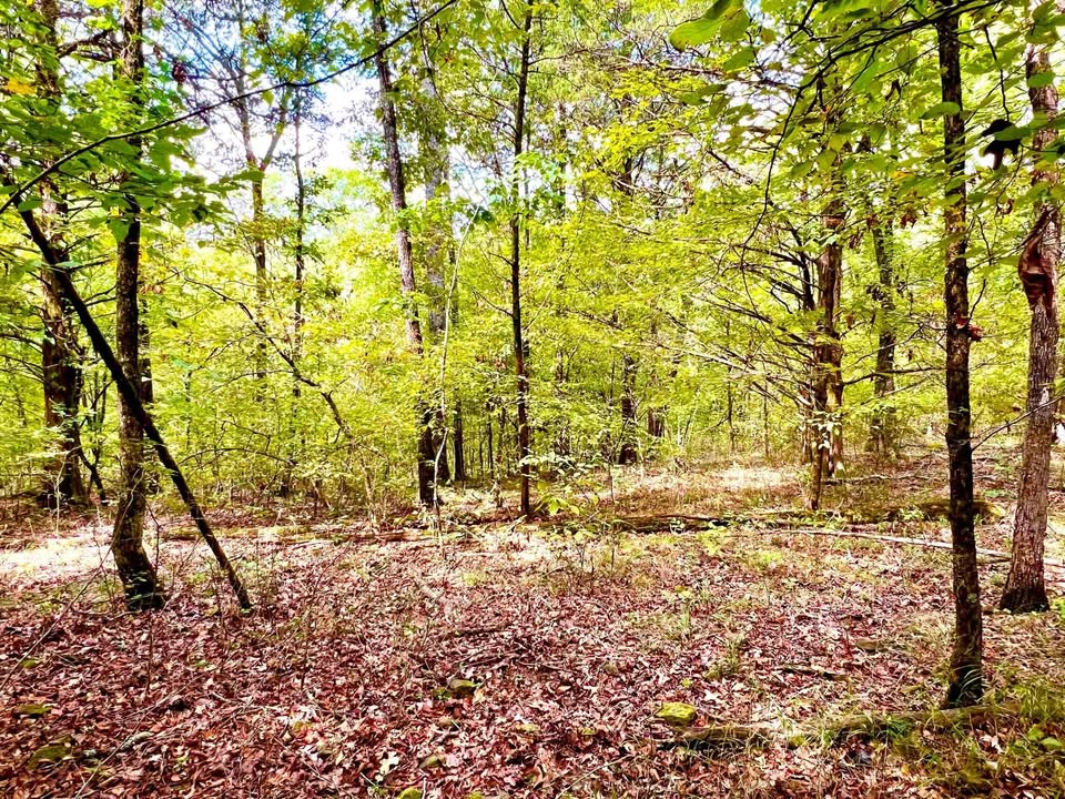 10 Acres — Dry Hill Loop, Chester, Arkansas — photo 3