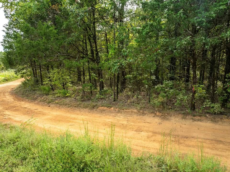 13.72 Acres — Dry Hill Loop, Chester, Arkansas — photo 3
